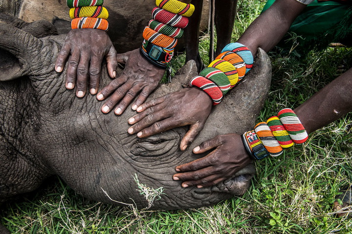 Фотоконкурс World Press Photo 2015 - ФОТОСЕССИЯ