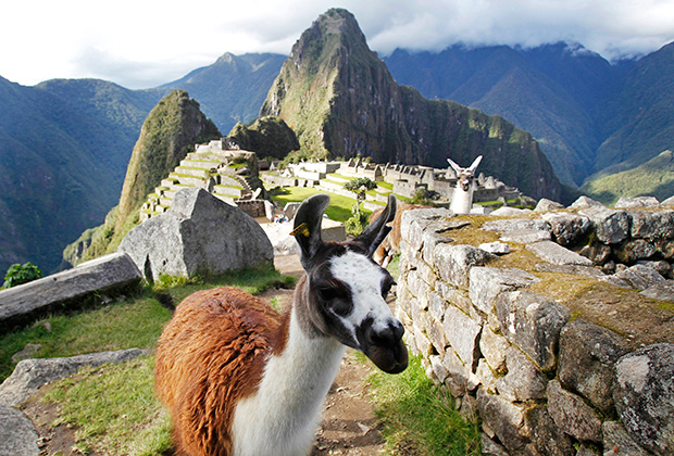 Вот что думают на самом деле туристы о самых известных городах и музеях мира! - ФОТО