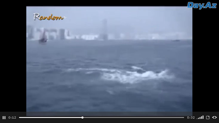 Что происходит в океане во время сильного землетрясения - ВИДЕО