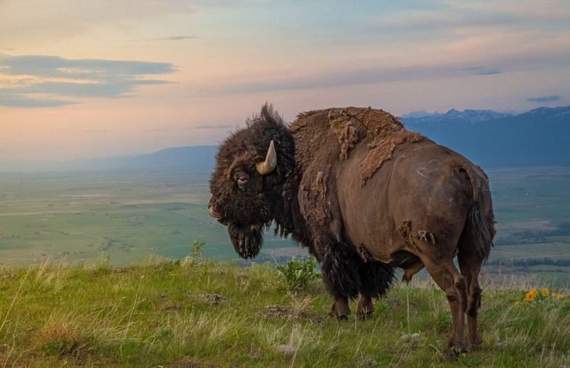 Фотоконкурс от журнала National Geographic Traveler 2013 - ФОТОСЕССИЯ