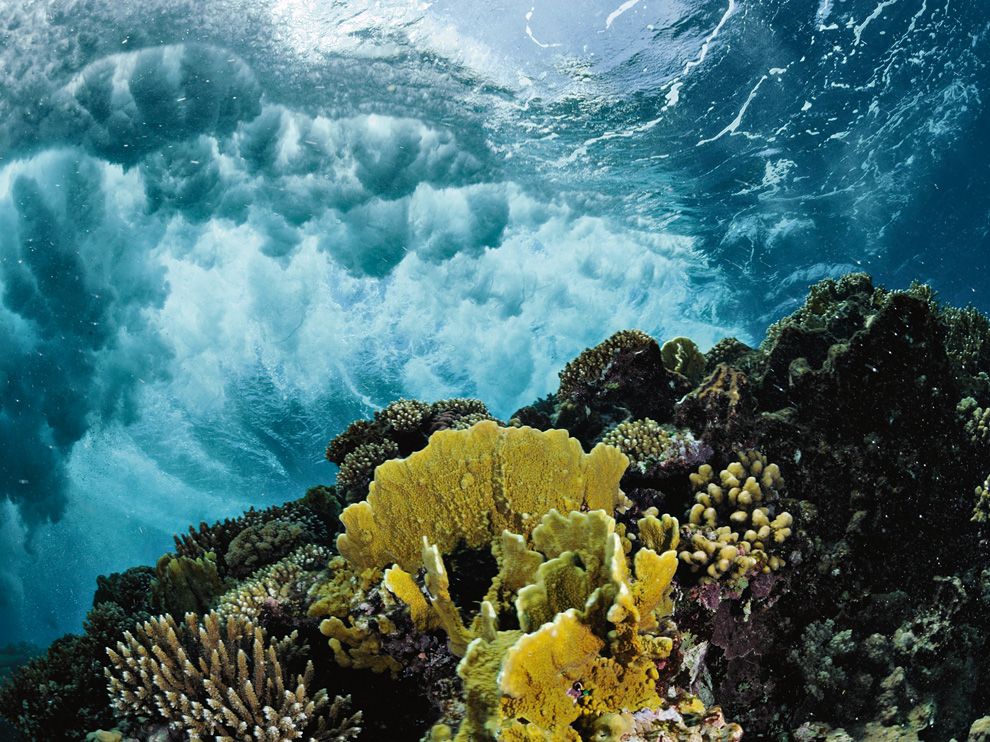 Обои для рабочего стола от National Geographic за март - ФОТОСЕССИЯ