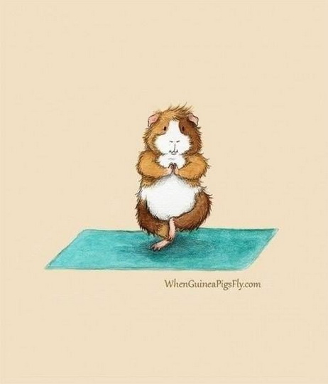 "Картинная галерея" Day.Az: Минутка умиления от художника-иллюстратора - ФОТО