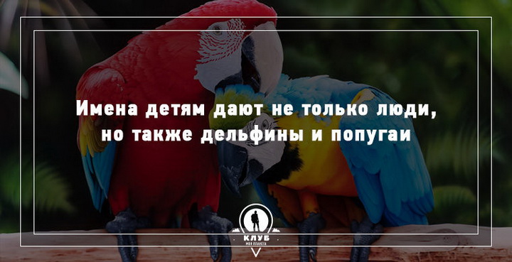 9 неожиданных фактов про имена и фамилии - ФОТОСЕССИЯ