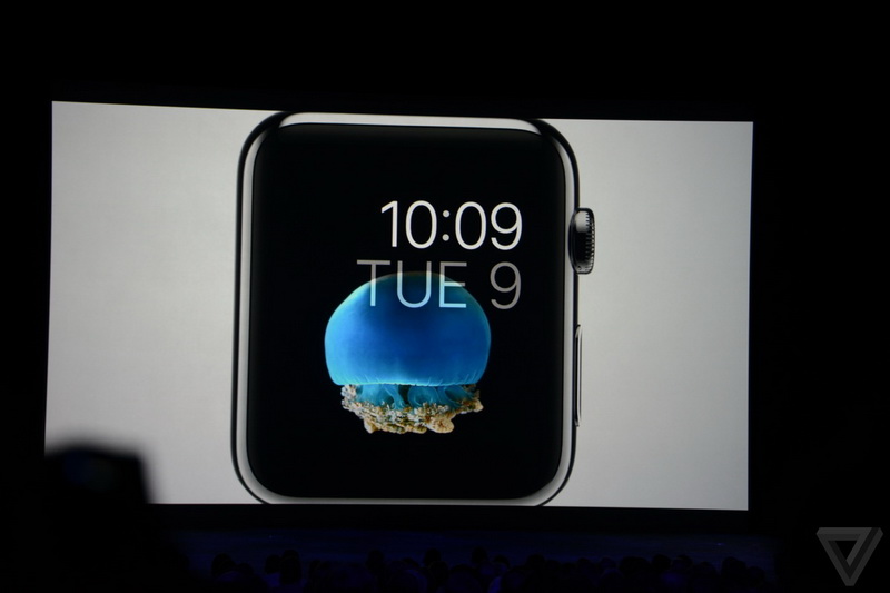 Apple Watch поступят в продажу в начале 2015 года - ОБНОВЛЕНО - ФОТО