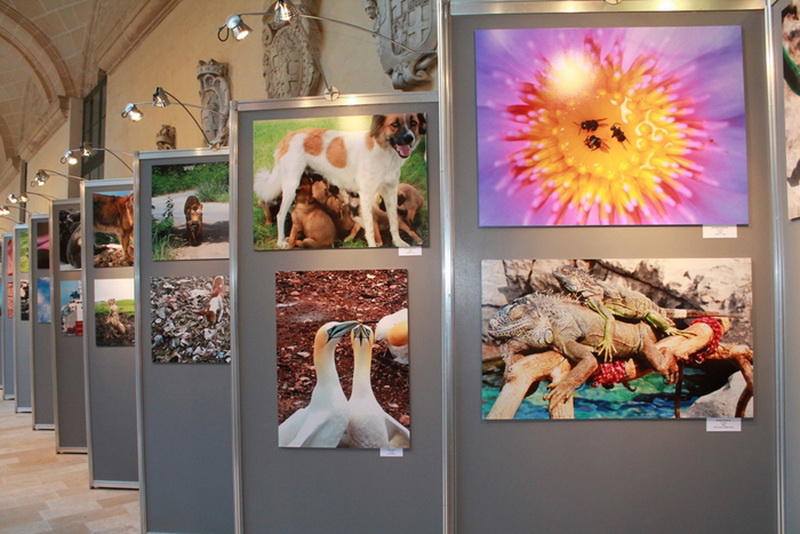 Лейла Алиева: "Азербайджан является лидером в регионе по реализации инициатив в области окружающей среды" - ФОТО