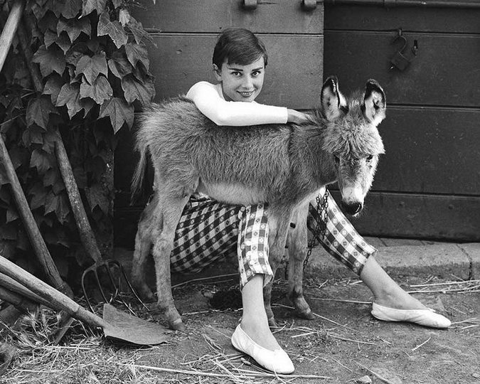 Редкие фотографии несравненной Одри Хепбёрн - ФОТОСЕССИЯ