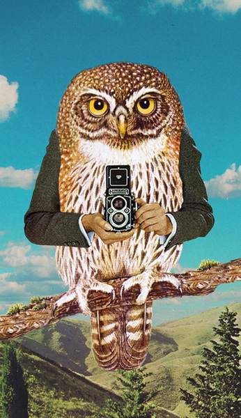 "Картинная галерея Day.Az": Работы бельгийского иллюстратора - ФОТО