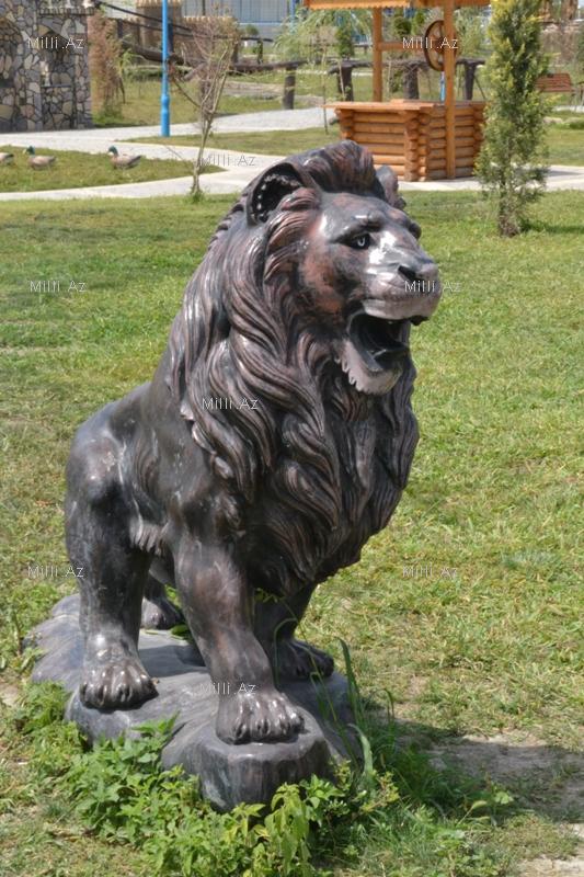 В одном из районов Азербайджана разбит удивительный парк - ФОТО