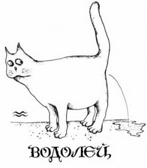 Слабые стороны каждого знака Зодиака - ФОТО