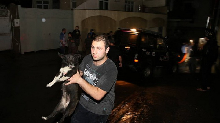 Трагедия в Тбилиси: по городу гуляют дикие звери - ОБНОВЛЕНО - ФОТО - ВИДЕО