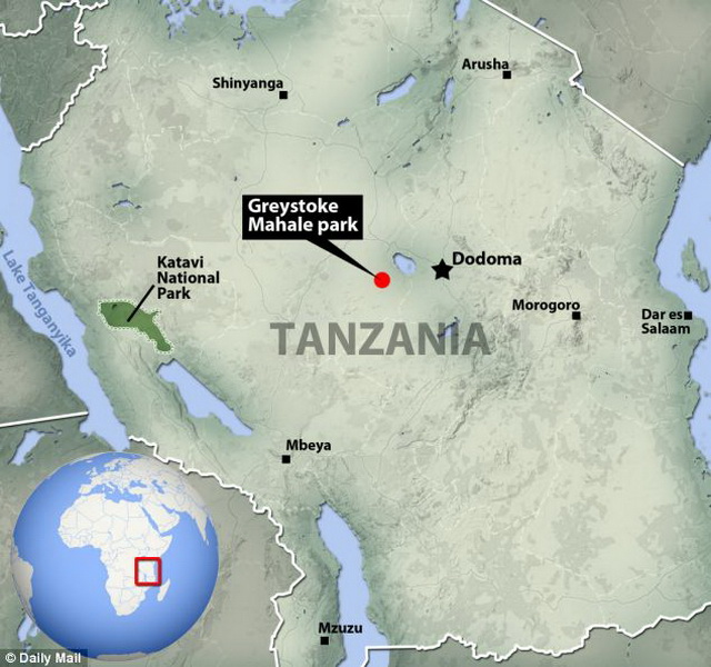 Первый полет пеликана засняли на камеру - ФОТО - ВИДЕО