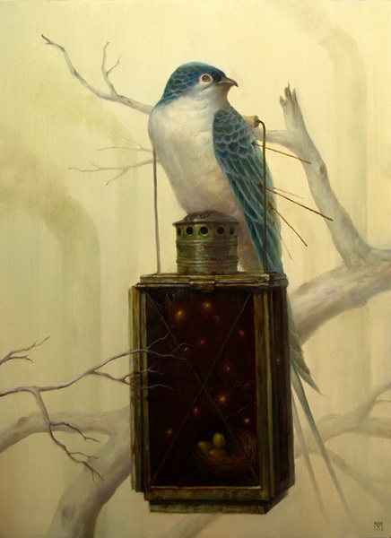 "Картинная галерея Day.Az": Краски животного мира - ФОТО