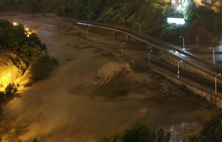 Трагедия в Тбилиси: по городу гуляют дикие звери - ОБНОВЛЕНО - ФОТО - ВИДЕО