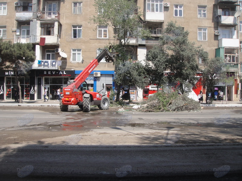На одной из центральных улиц Баку начался ремонт - ОБНОВЛЕНО - ФОТО