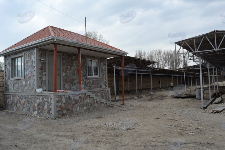 В Исмаиллы создается масштабный "Зеленый маркет" - ФОТО