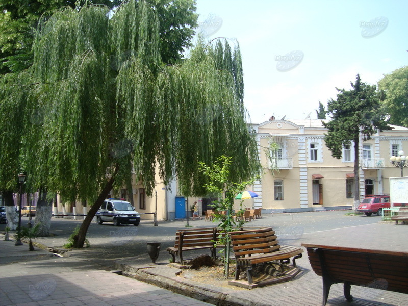 "Фотоклуб Day.Az": Зеленый рай Азербайджана: возвращение в лето - ФОТОСЕССИЯ
