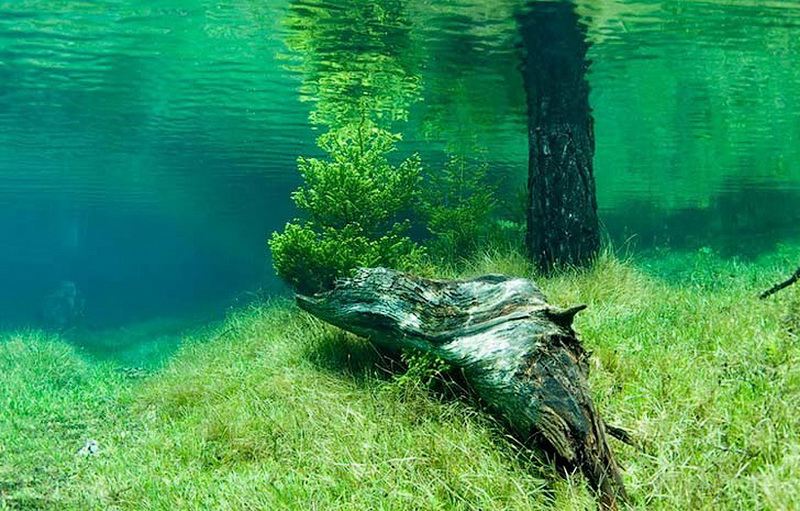 Призрачный парк Зеленого озера - ФОТОСЕССИЯ