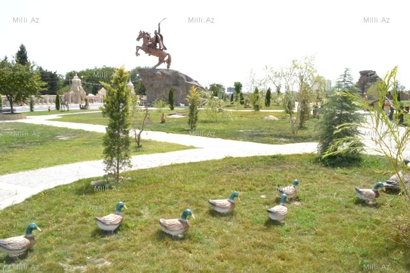В одном из районов Азербайджана разбит удивительный парк - ФОТО