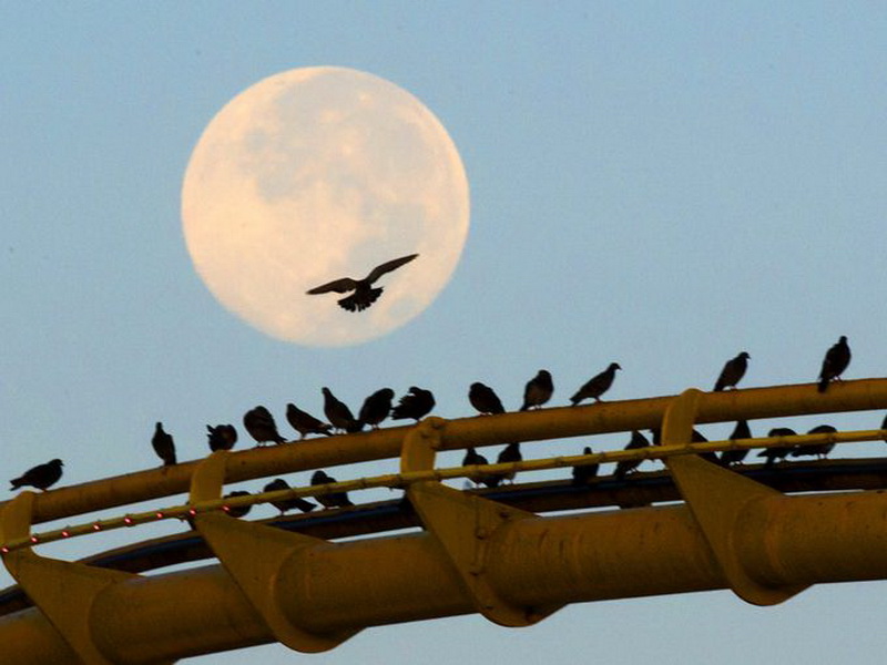 Земляне увидели самое яркое и красивое суперлуние 2014 года - ОБНОВЛЕНО - ФОТО