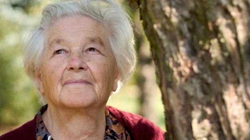 Люди, которые нашли большие деньги и вернули их - ФОТОСЕССИЯ