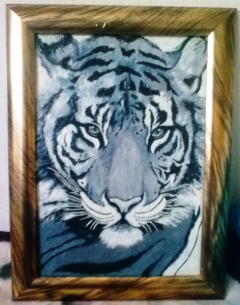 "Картинная галерея Day.Az": Интересные работы со цветной солью и пластилином - ФОТО