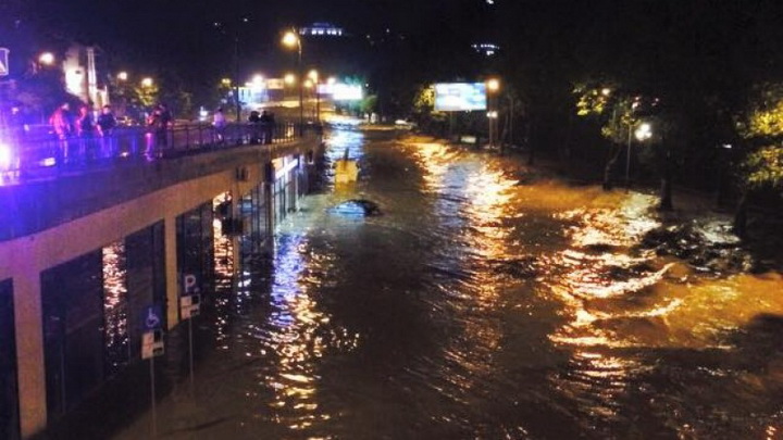 Трагедия в Тбилиси: по городу гуляют дикие звери - ОБНОВЛЕНО - ФОТО - ВИДЕО