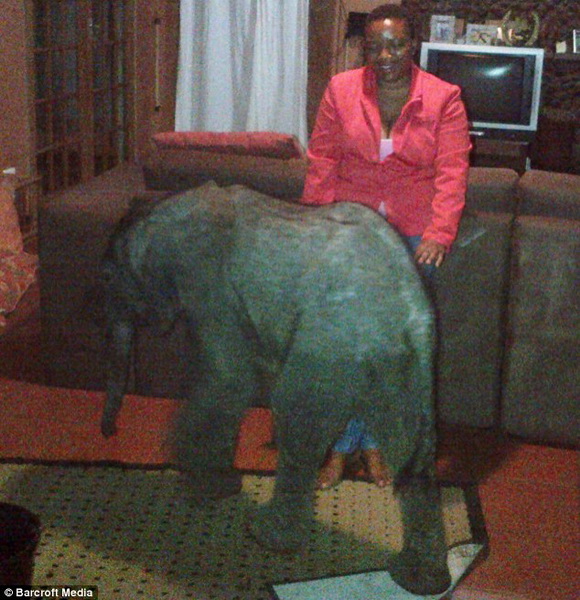 Самый неожиданный гость прибыл к африканской семье - ФОТО