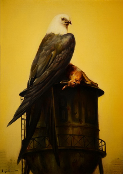 "Картинная галерея Day.Az": Краски животного мира - ФОТО