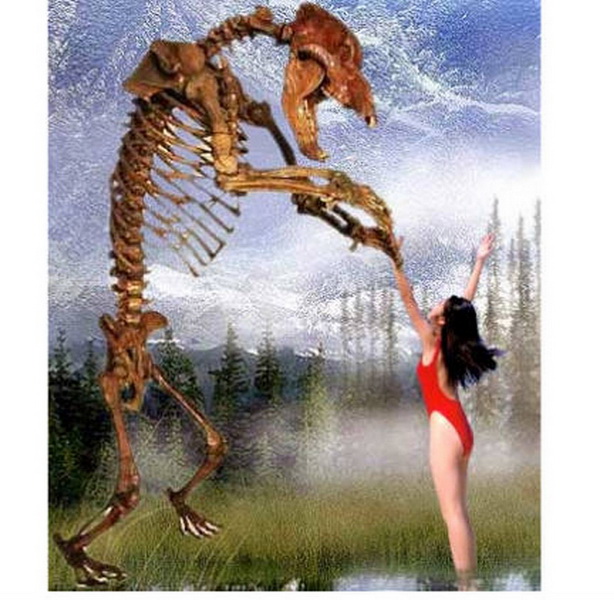 Найдены предки снежного человека – ФОТО