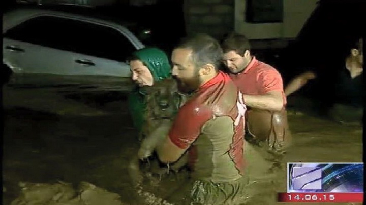 Трагедия в Тбилиси: по городу гуляют дикие звери - ОБНОВЛЕНО - ФОТО - ВИДЕО