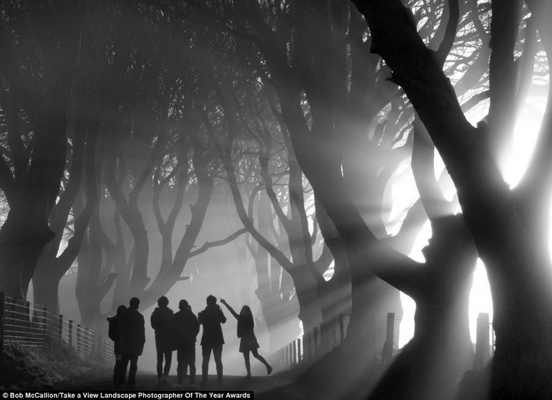 Лучшие фотопейзажи Британии 2013 - ФОТОСЕССИЯ