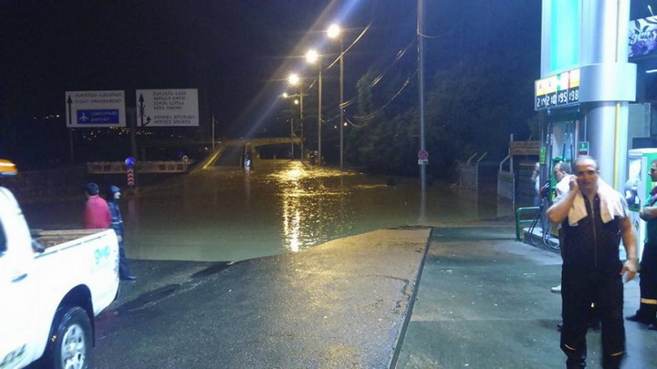 Трагедия в Тбилиси: по городу гуляют дикие звери - ОБНОВЛЕНО - ФОТО - ВИДЕО