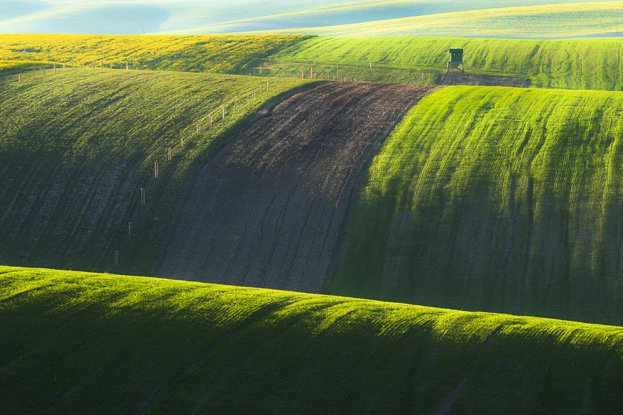 Зеленое цунами: холмистые поля Моравии - ФОТОСЕССИЯ