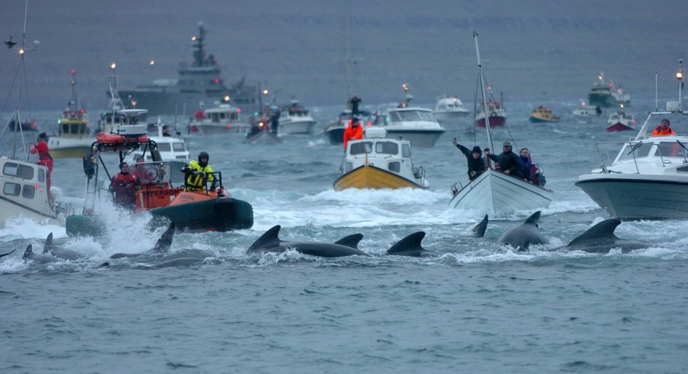 Живописные виды Фарерских островов - ФОТОСЕССИЯ