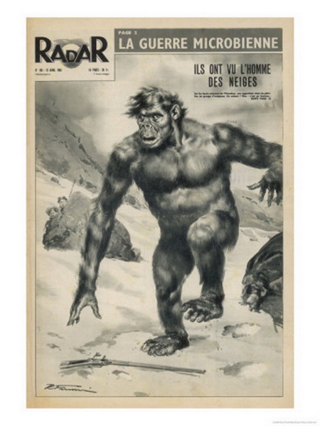 Найдены предки снежного человека – ФОТО