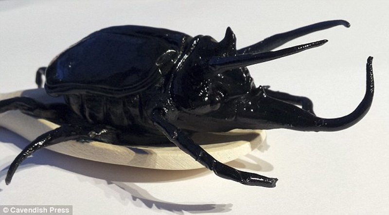 Сладкие джунгли: в Британии испекли невероятные торты - ФОТО