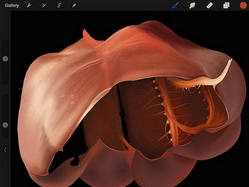 "Картинная галерея" Day.Az: Гиперрелизм, созданный на iPad - ФОТО