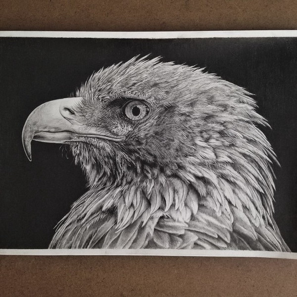 "Картинная галерея" Day.Az: Вы не поверите, но это – не фотографии! - ФОТО