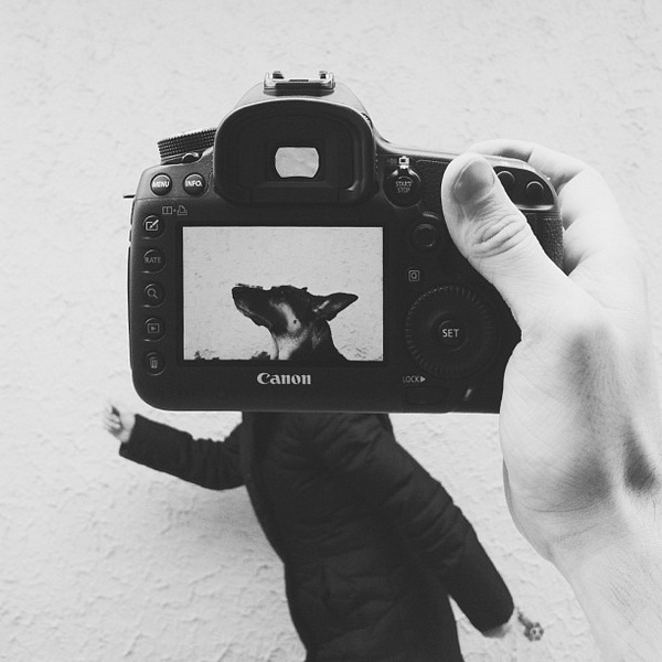 Животные - копии своих хозяев - ФОТОСЕССИЯ