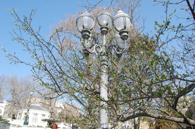 Очарование весеннего Баку - ФОТОСЕССИЯ
