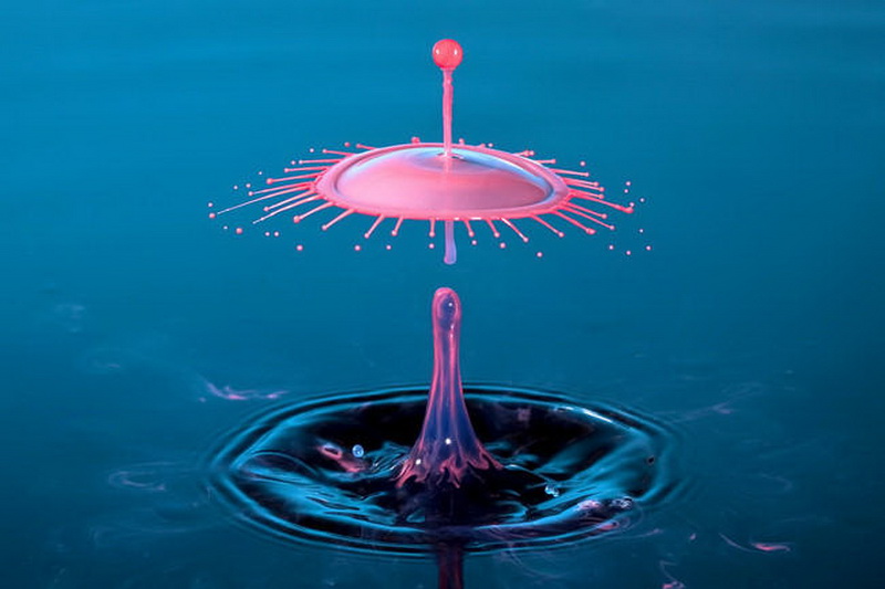 "Картинная галерея" Day.Az: Удивительная красота капель - ФОТО