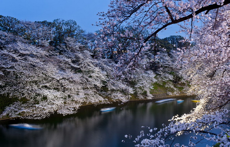 Вот что Япония обещает построить к Олимпиаде-2020 - ФОТО