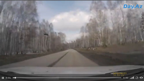 Высокая скорость и неожиданный финал - ВИДЕО