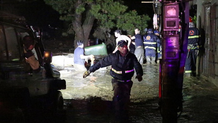 Трагедия в Тбилиси: по городу гуляют дикие звери - ОБНОВЛЕНО - ФОТО - ВИДЕО