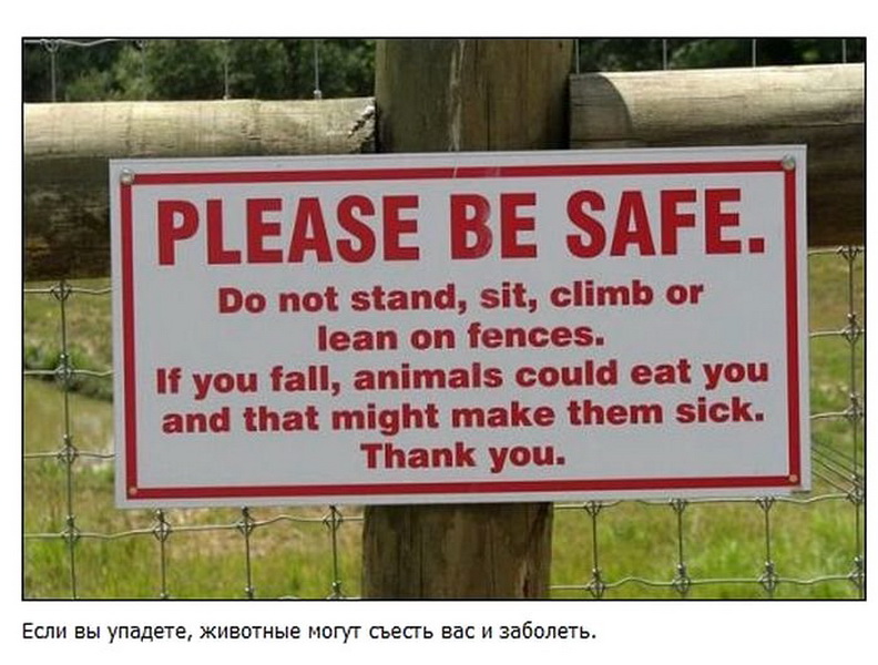 Самые забавные дорожные таблички по всему миру - ФОТО