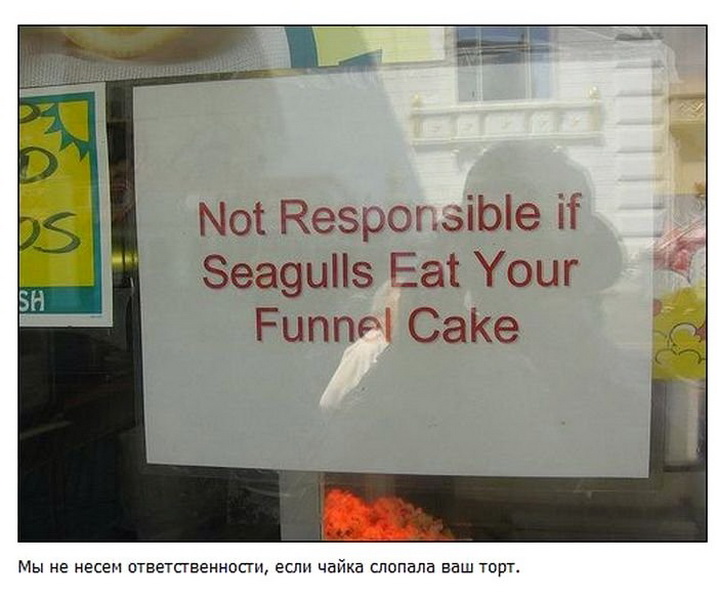 Самые забавные дорожные таблички по всему миру - ФОТО