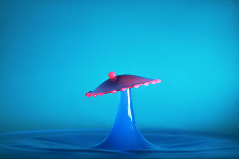 "Картинная галерея" Day.Az: Удивительная красота капель - ФОТО