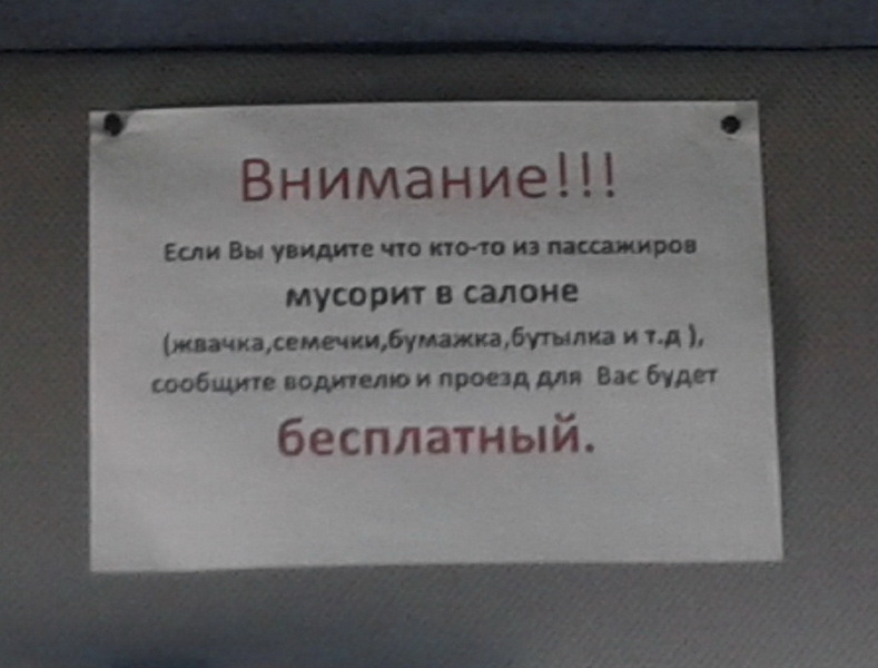 Шедевральные объявления: душевный копирайтинг - ФОТОСЕССИЯ