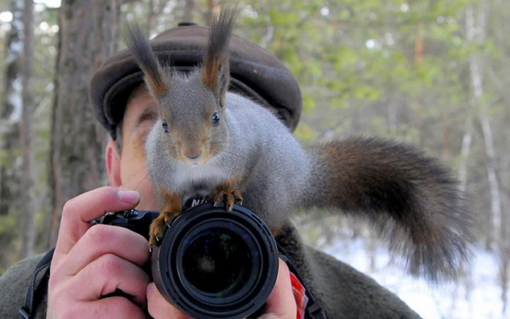 Нереально фотогеничные животные и птицы - ФОТОСЕССИЯ