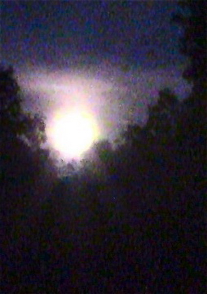 Земляне увидели самое яркое и красивое суперлуние 2014 года - ОБНОВЛЕНО - ФОТО